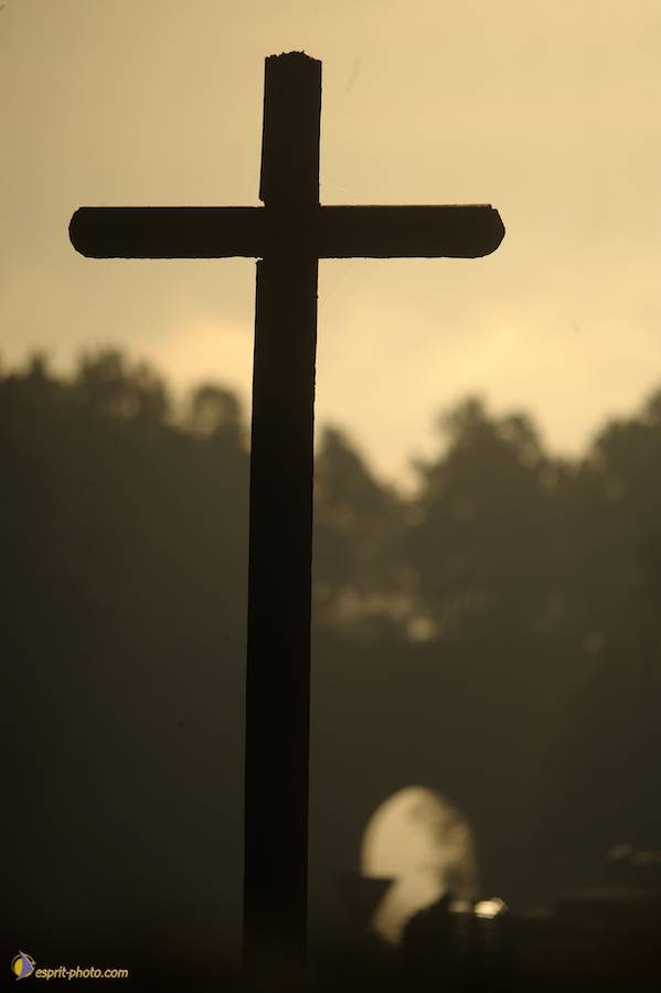 Nom de l'image : D30082712_1_(c)Norbert-JUNG — Description :